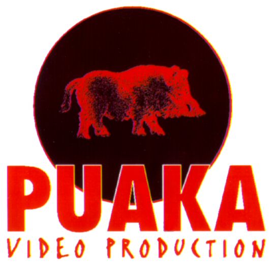 Paraqitja e markës PUAKA VIDEO PRODUCTION