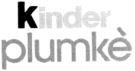 Paraqitja e markës kinder plumkè