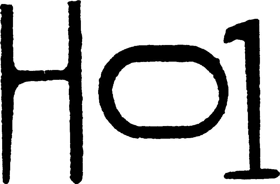 Paraqitja e markës Ho1
