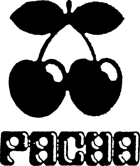 Paraqitja e markës PACHA