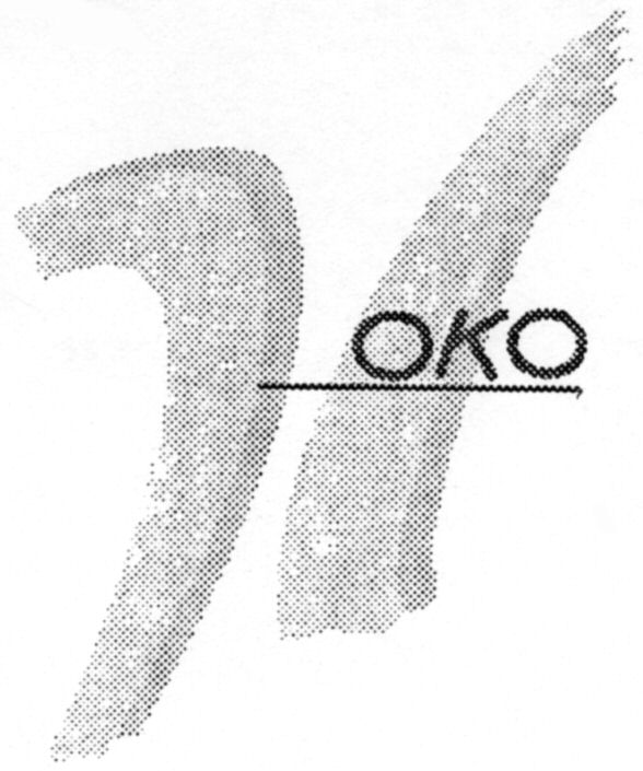 Paraqitja e markës HOKO