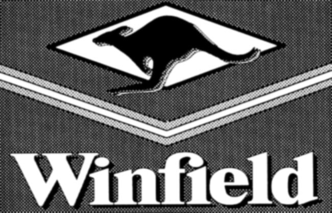 Paraqitja e markës Winfield