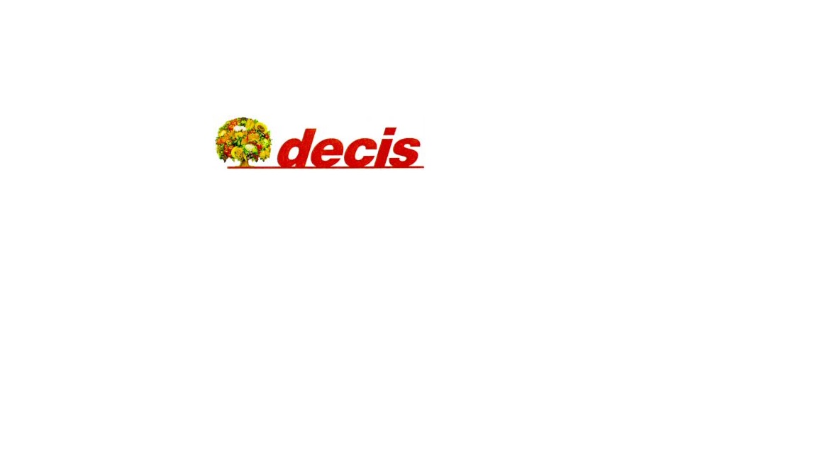 Paraqitja e markës decis