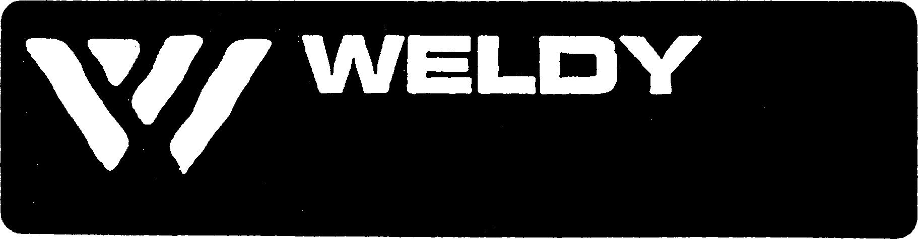 Paraqitja e markës W WELDY