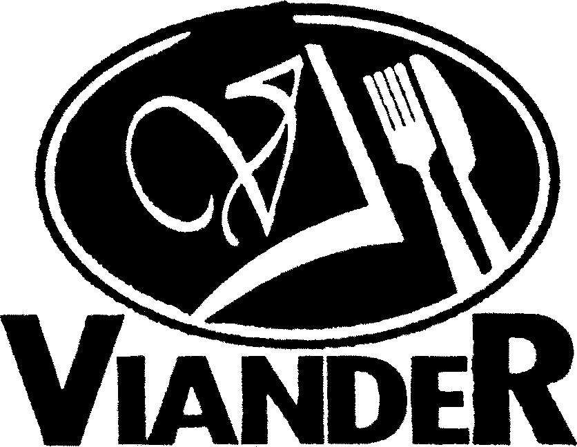Paraqitja e markës VIANDER