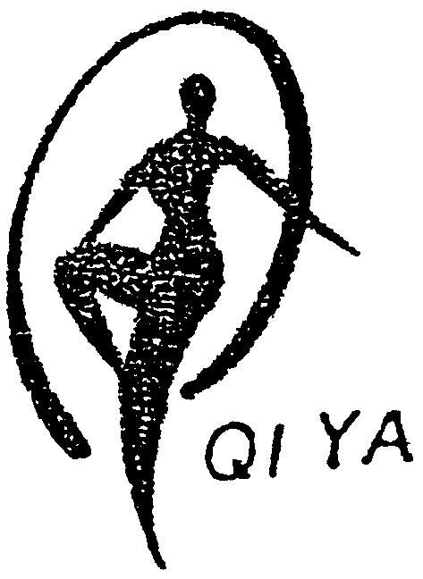 Paraqitja e markës QI YA