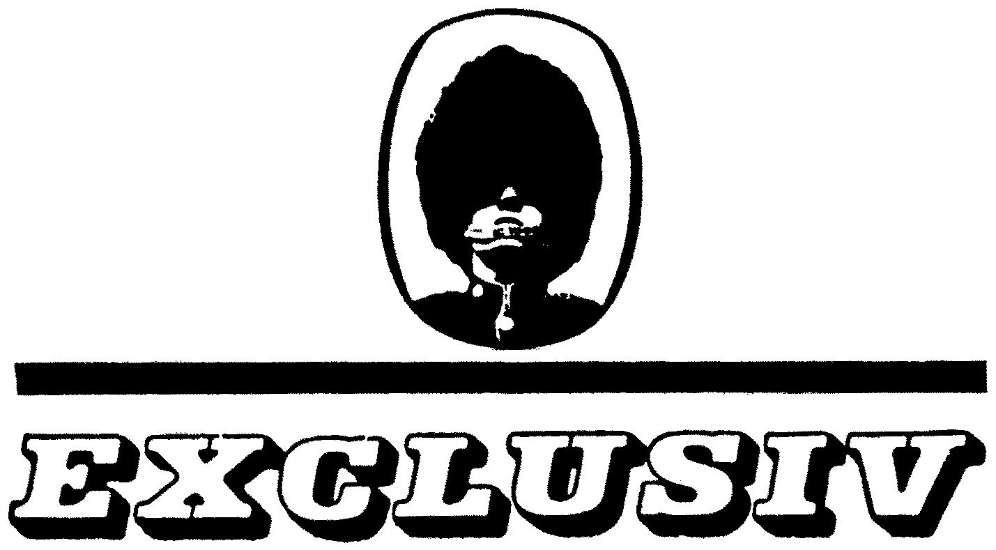 Paraqitja e markës EXCLUSIV