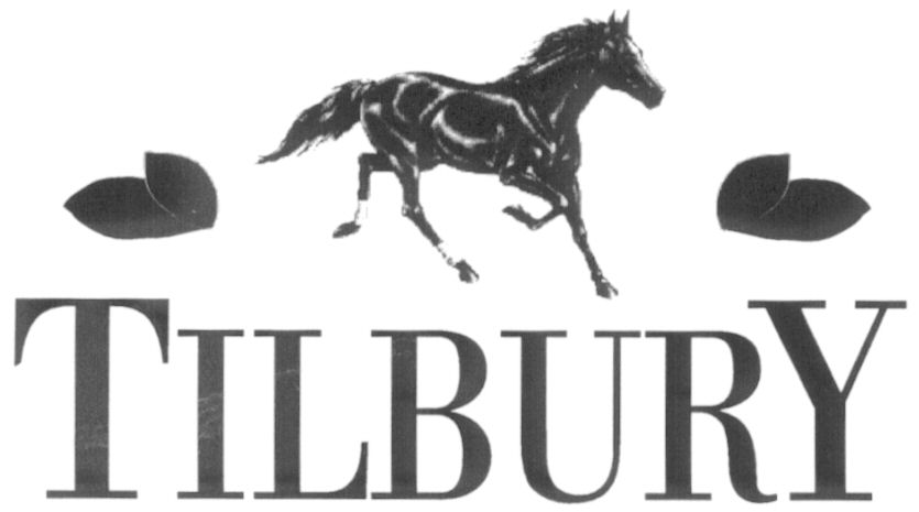 Paraqitja e markës TILBURY