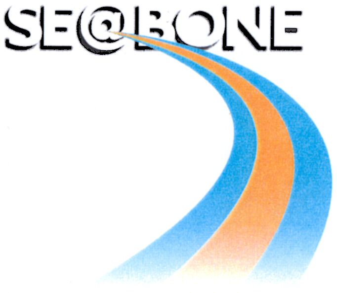 Paraqitja e markës SE@BONE