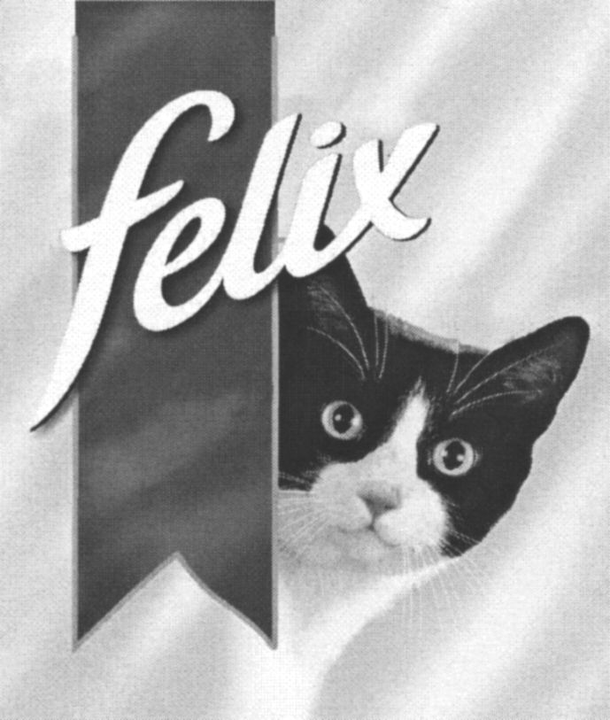Paraqitja e markës felix
