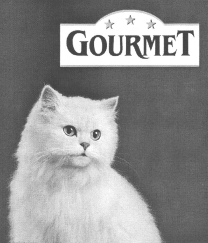 Paraqitja e markës GOURMET