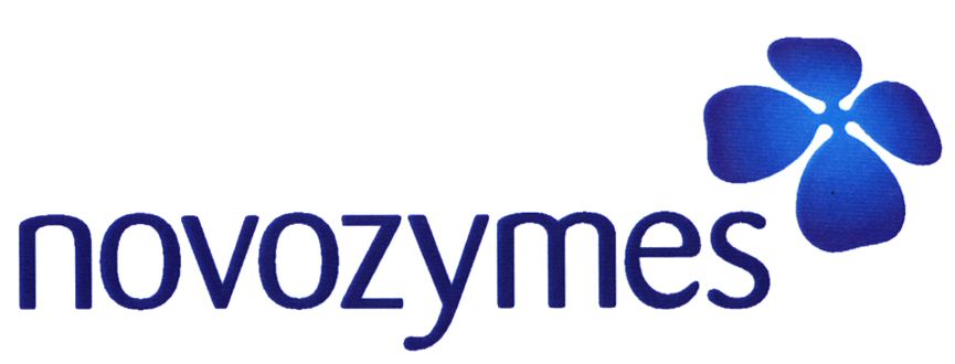 Paraqitja e markës novozymes