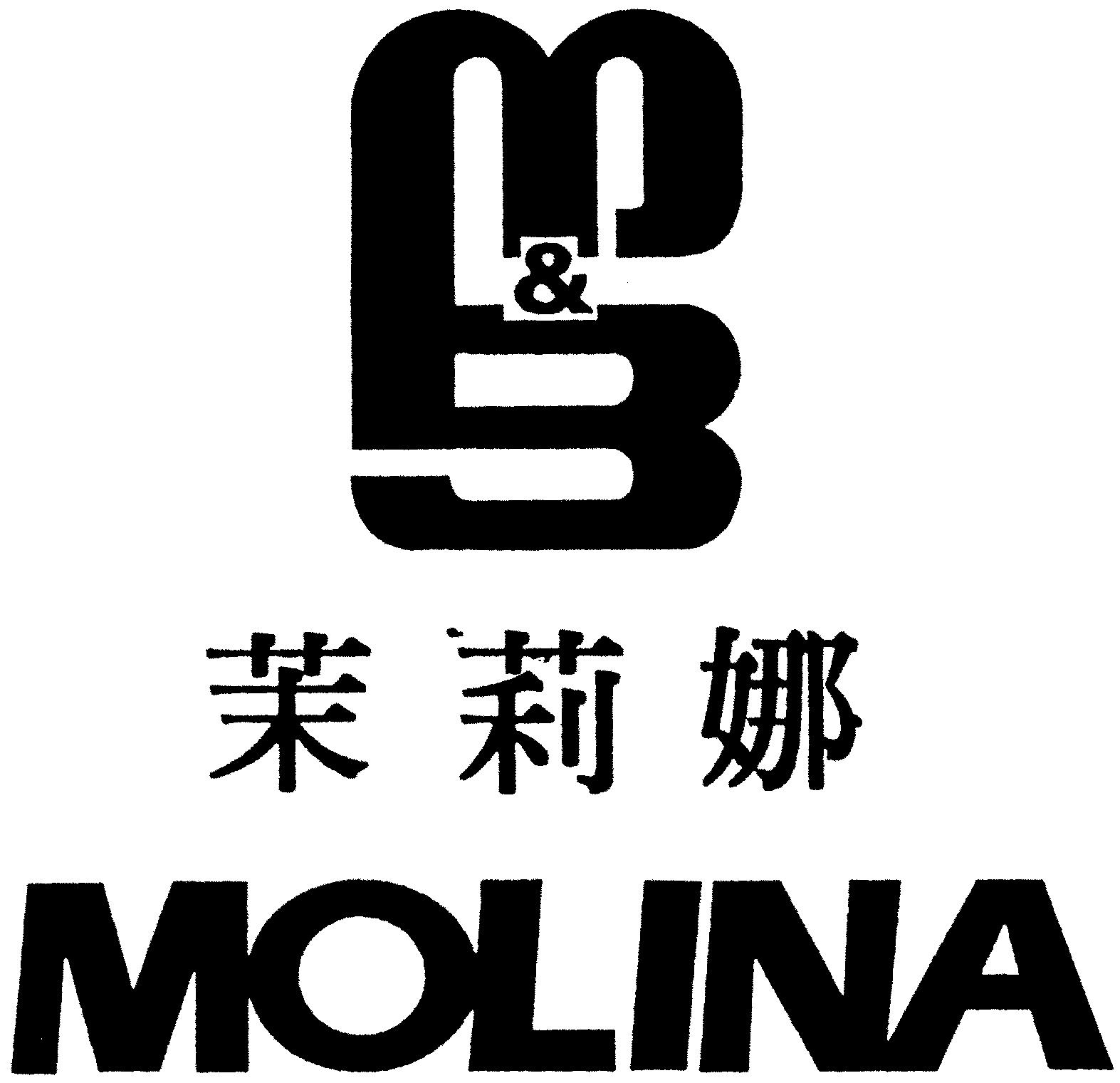 Paraqitja e markës MOLINA