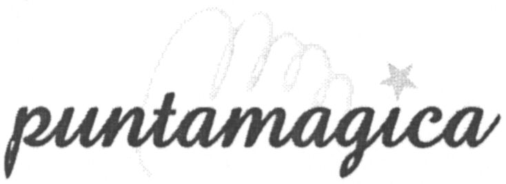 Paraqitja e markës puntamagica