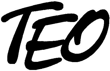 Paraqitja e markës TEO