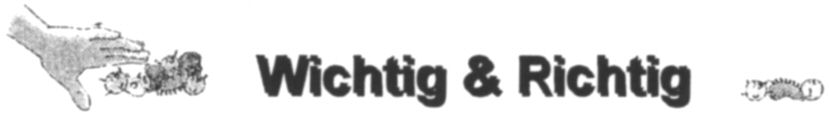 Paraqitja e markës Wichtig & Richtig