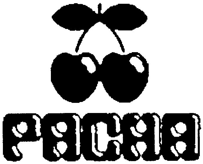 Paraqitja e markës PACHA