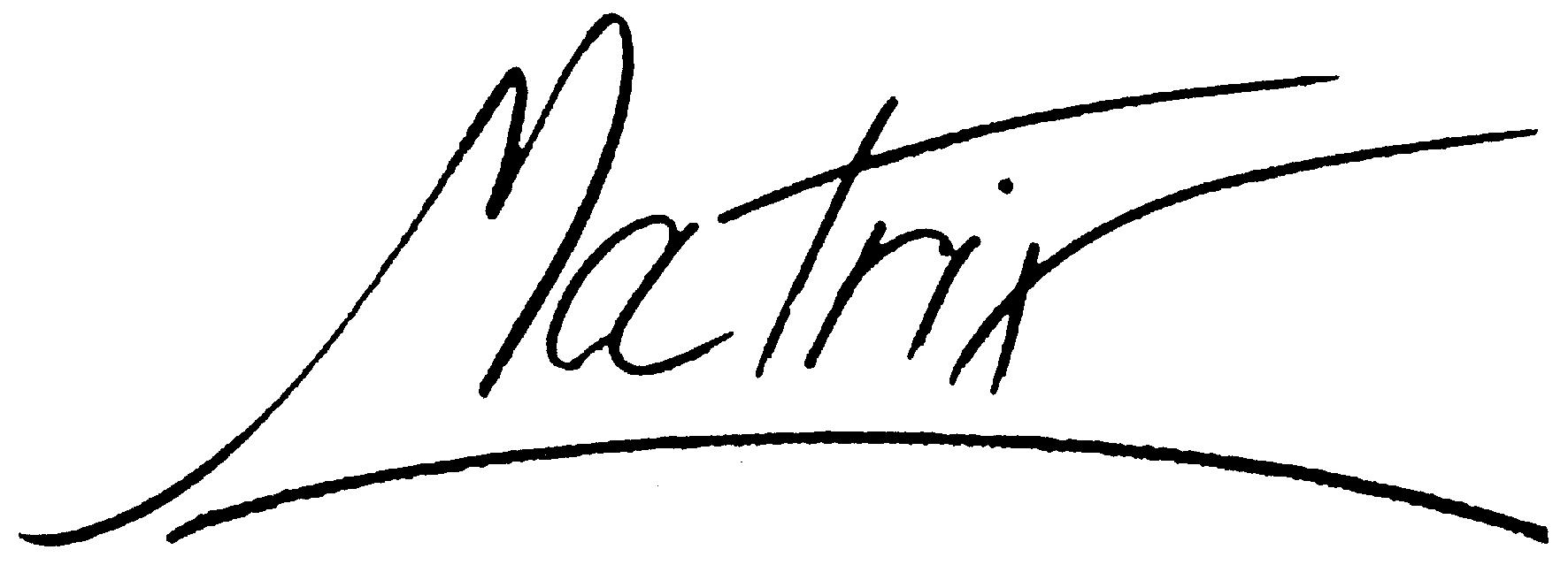Paraqitja e markës Matrix