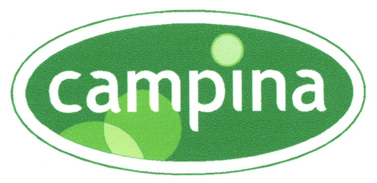 Paraqitja e markës campina