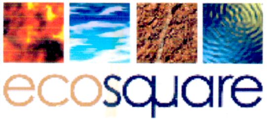 Paraqitja e markës ecosquare