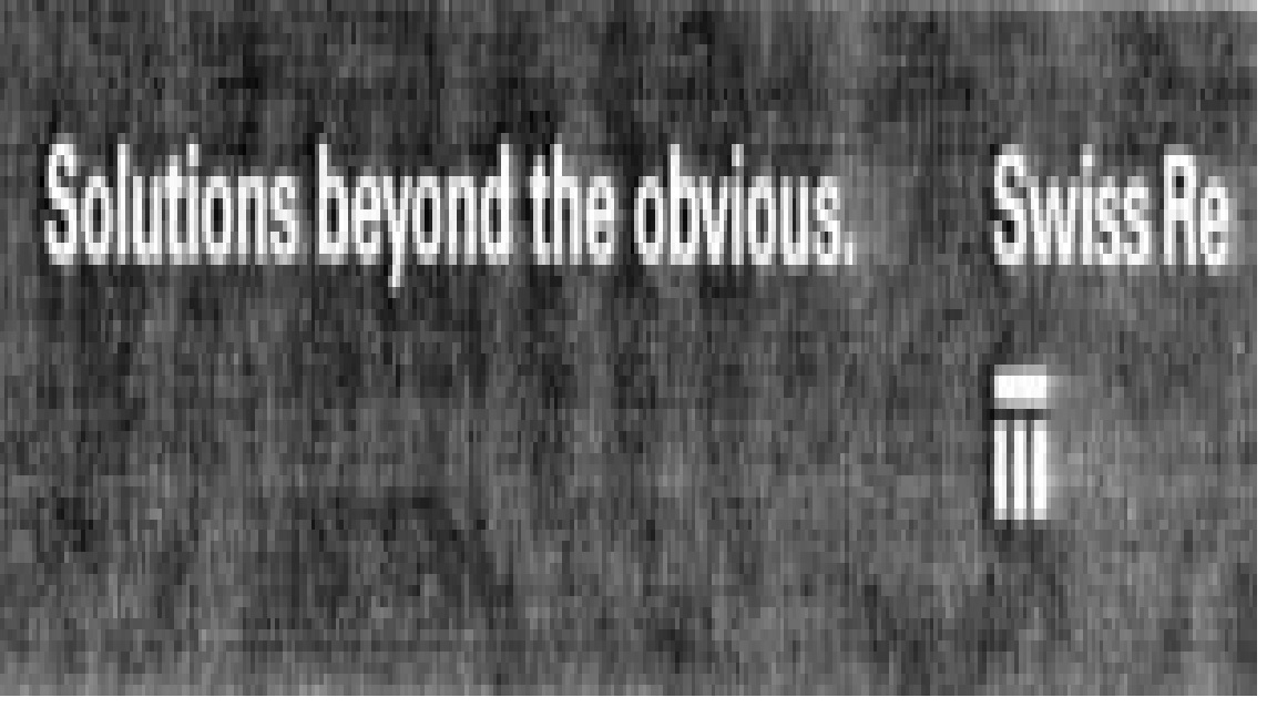Paraqitja e markës Solutions beyond the obvious. Swiss Re
