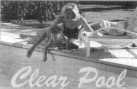 Paraqitja e markës Clear Pool
