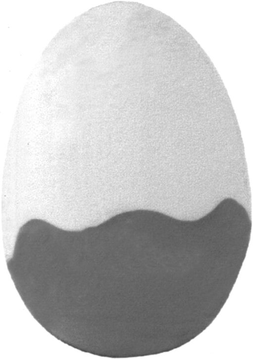 Paraqitja e markës AL/M/1/783984