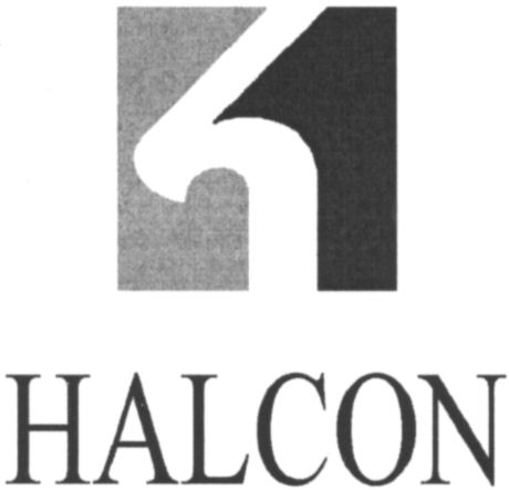 Paraqitja e markës HALCON