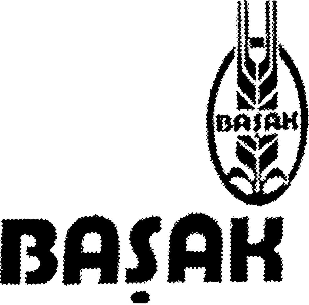 Paraqitja e markës BASAK