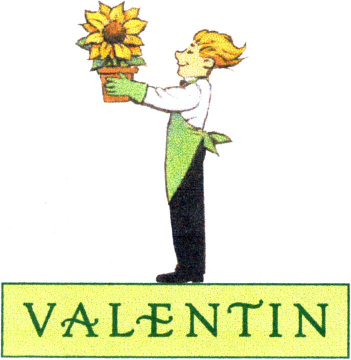 Paraqitja e markës VALENTIN