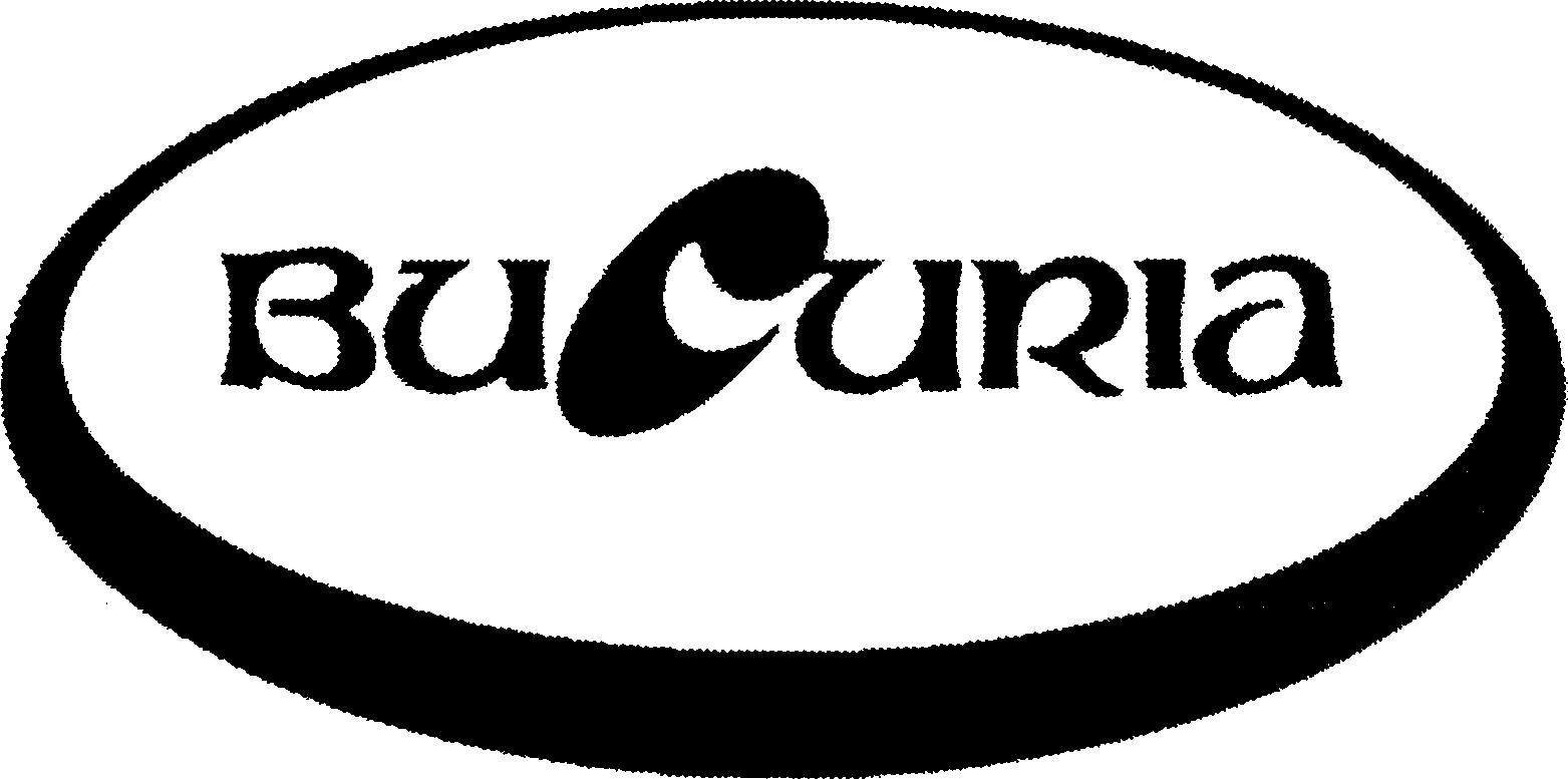 Paraqitja e markës BUCURIa