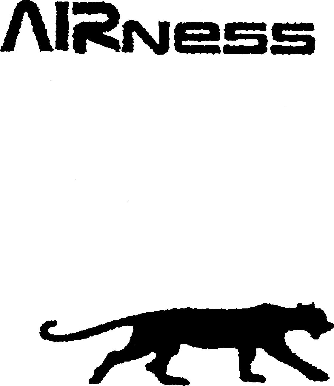 Paraqitja e markës AIRness