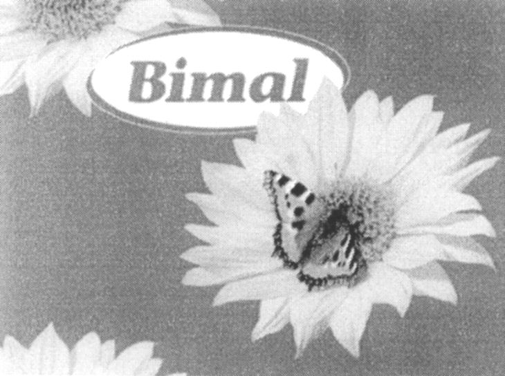 Paraqitja e markës Bimal