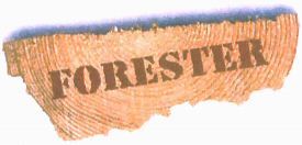 Paraqitja e markës FORESTER