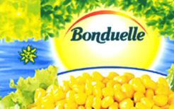 Paraqitja e markës Bonduelle