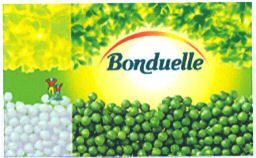 Paraqitja e markës Bonduelle