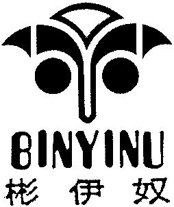 Paraqitja e markës BINYINU