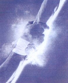 Paraqitja e markës AL/M/1/830702