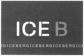 Paraqitja e markës ICE B ICEBERG