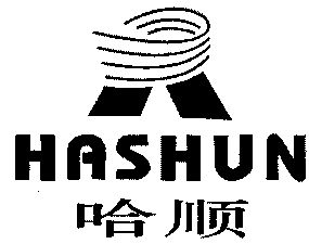 Paraqitja e markës HASHUN