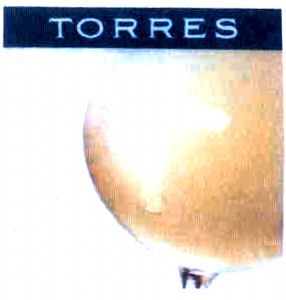 Paraqitja e markës TORRES
