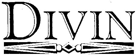 Paraqitja e markës DIVIN