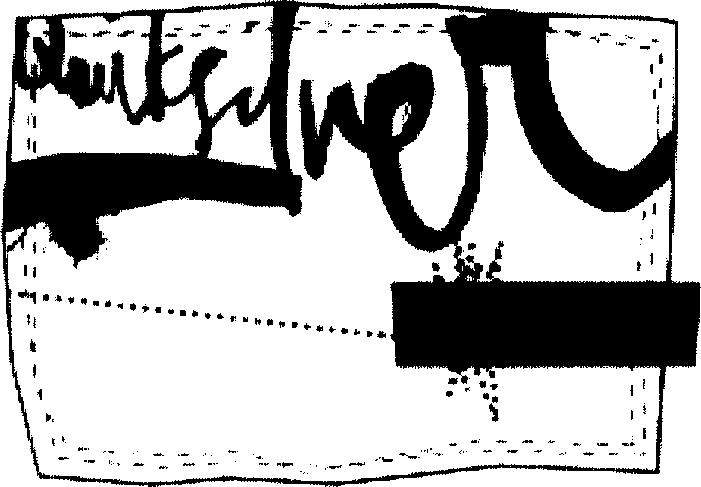 Paraqitja e markës Quiksilver
