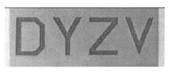 Paraqitja e markës DYZV