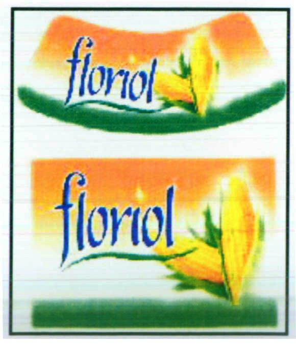 Paraqitja e markës floriol