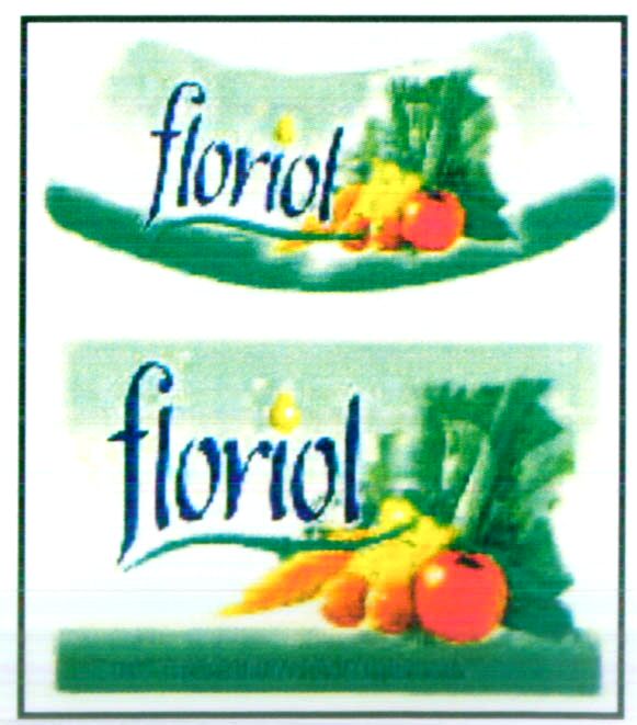 Paraqitja e markës floriol