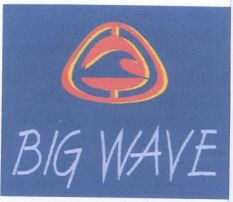 Paraqitja e markës BIG WAVE