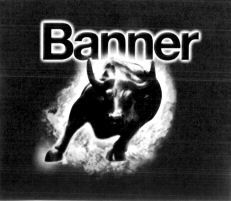 Paraqitja e markës Banner