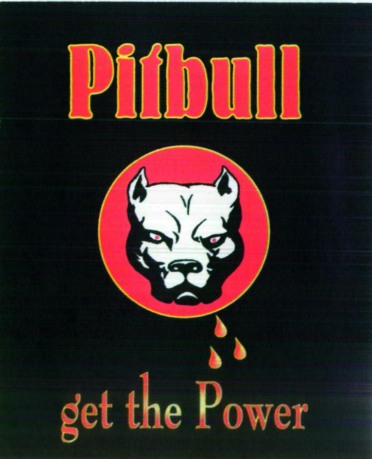 Paraqitja e markës Pitbull get the Power