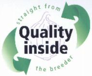 Paraqitja e markës Quality inside straight from the breeder